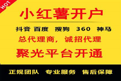 解析某某SEM服务公司的广告投放策略与效果评估